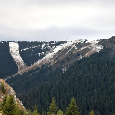 Eagle View Milmari N81 Apartment Kopaonik