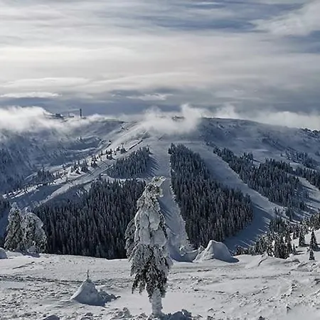 Daire Eagle View Milmari N81